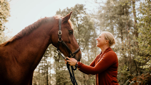 Jellymud equestrian sweatshirt collection