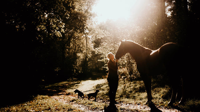 Jellymud equestrian clothing collection