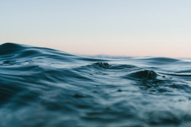 Vitamin Sea: Why is it good for you?